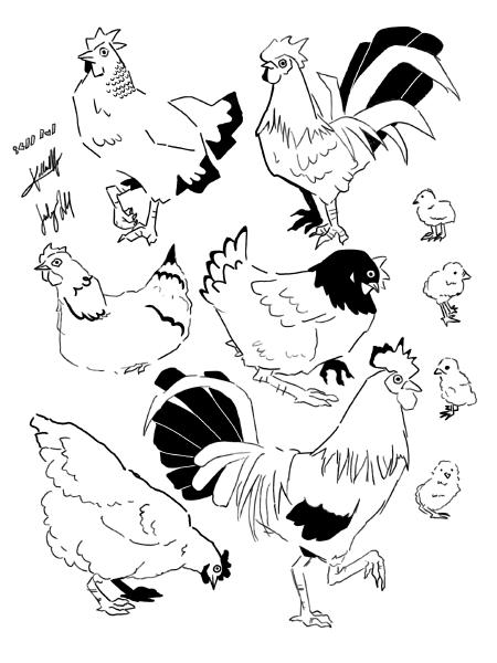 Chicken Flash Sheet 2024 Digital