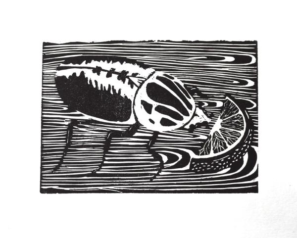 Goliath Beetle 2019 Block Print