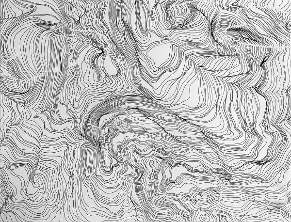 Line Contour 2024 Pen and Paper