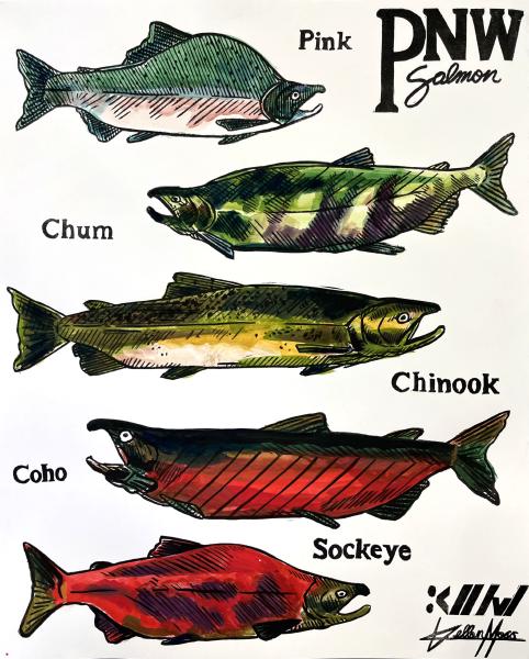 Pacific Northwest Salmon 2025 Block Print — Bristol and Gouache 17×14″