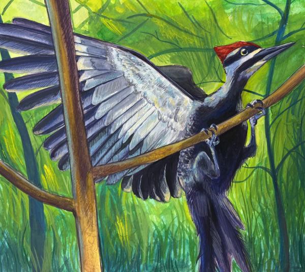 Stamp Series 2025 Gouache — Woodpecker