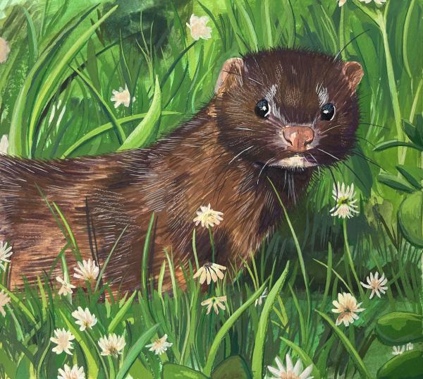 Stamp Series 2025 Gouache — Mink