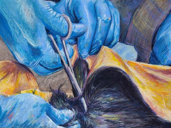 Cat Skin 2024 Chalk Pastel