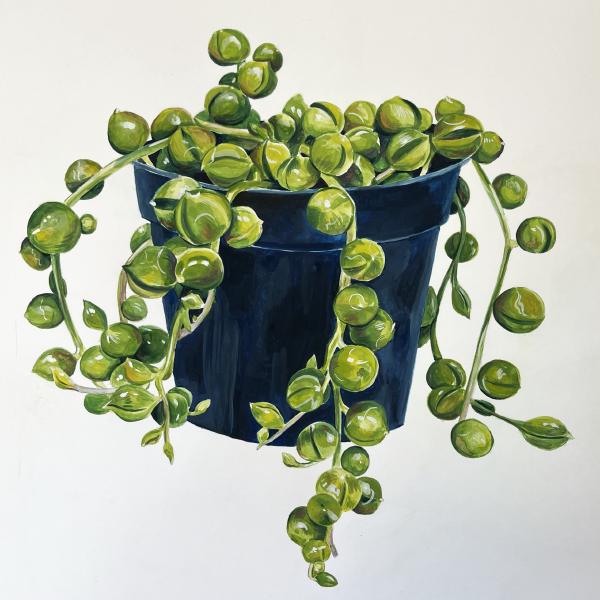String of Pearls Diptych 2025 — Gouache
