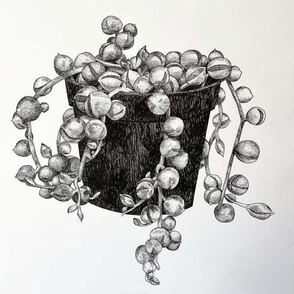 String of Pearls Diptych 2025 — Pen and Ink